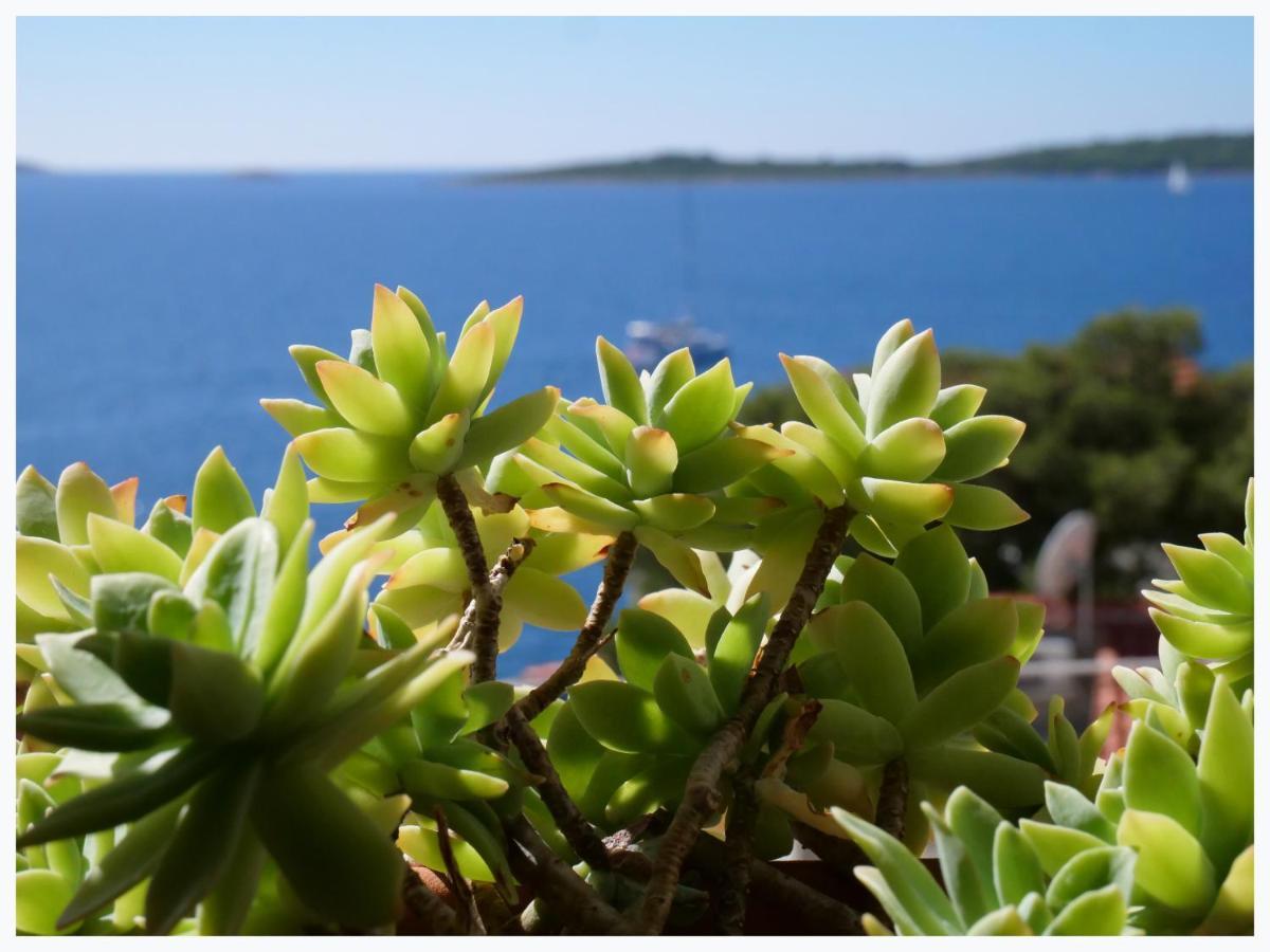 The Peninsula Lejlighed Primošten Eksteriør billede